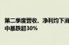 第二季度营收、净利均下滑 狂飙的拼多多速度慢了！股价盘中暴跌超30%