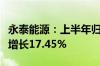 永泰能源：上半年归母净利润11.89亿元 同比增长17.45%