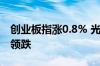 创业板指涨0.8% 光伏设备涨逾4% 银行板块领跌