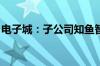 电子城：子公司知鱼智联收福建证监局警示函