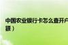 中国农业银行卡怎么查开户支行（中国农业银行卡怎么查余额）