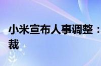 小米宣布人事调整：卢伟冰兼任小米手机部总裁