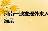 河南一地发现外来入侵物种福寿螺：误食可致痴呆