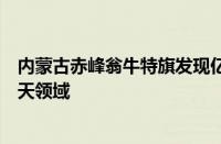 内蒙古赤峰翁牛特旗发现亿吨钼矿：可应用于电气化工、航天领域