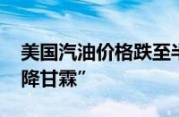 美国汽油价格跌至半年低位 哈里斯笑纳“天降甘霖”