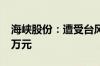 海峡股份：遭受台风灾害损失金额约9000余万元