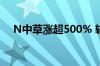 N中草涨超500% 较最低价涨幅达260%